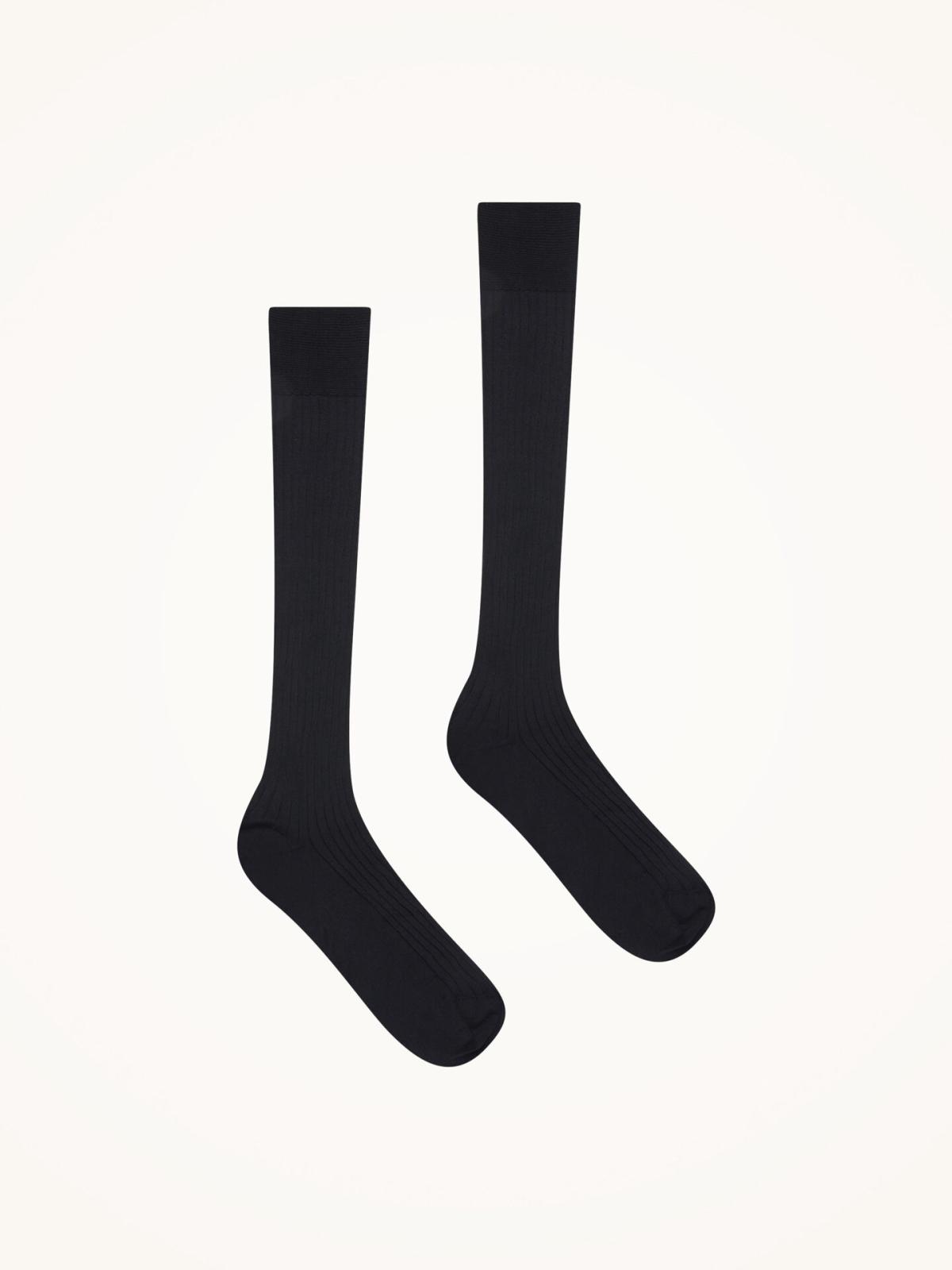 31111_7005_100_005_B_X_B2BL