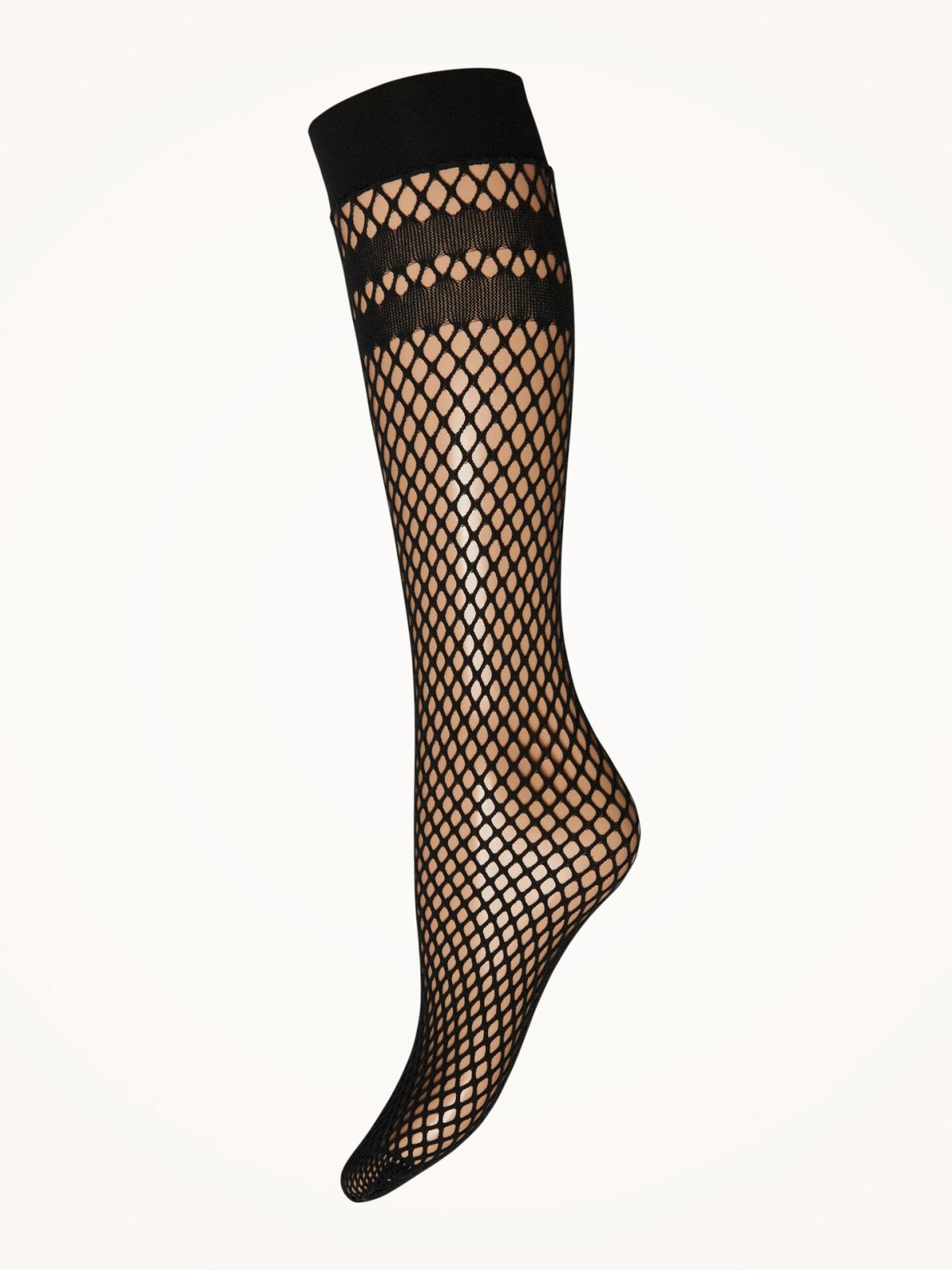 31585_7005_100_004_B_X_B2BL